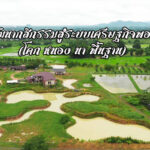 การพัฒนากสิกรรมสู่ระบบเศรษฐกิจพอเพียง (โคก หนอง นา พื้นฐาน)