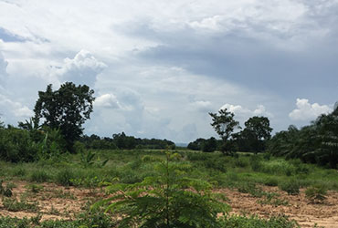 เป้าฟมาย-1