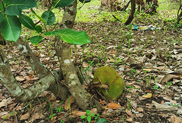 ใช้ชีวิตตามออกแบบ