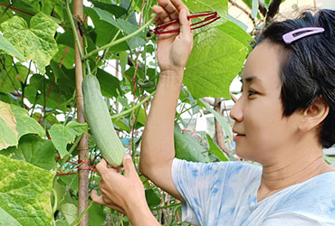 ใช้ชีวิตที่ชอบ