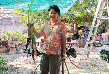 ใช้ชีวิตที่ชอบตามออกแบบ